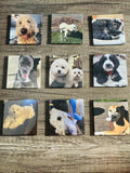 9 Pack - 2.5"x2.5" Picture Magnetics